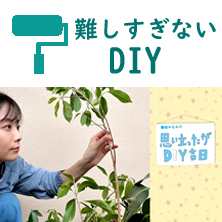 Pacoma パコマ DIY