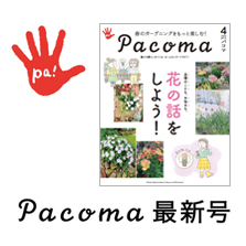 Pacoma パコマ 最新号