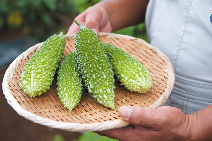 家庭菜園の始め方 初心者さん歓迎 簡単年間プラン で美味しい野菜を育てよう Pacoma パコマ 暮らしの冒険webマガジン