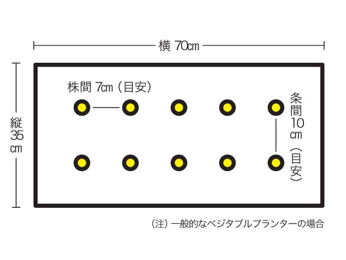 エシャレット の育て方 家庭菜園初心者ガイド 採れたてシャッキリ食感 Pacoma パコマ 暮らしの冒険webマガジン