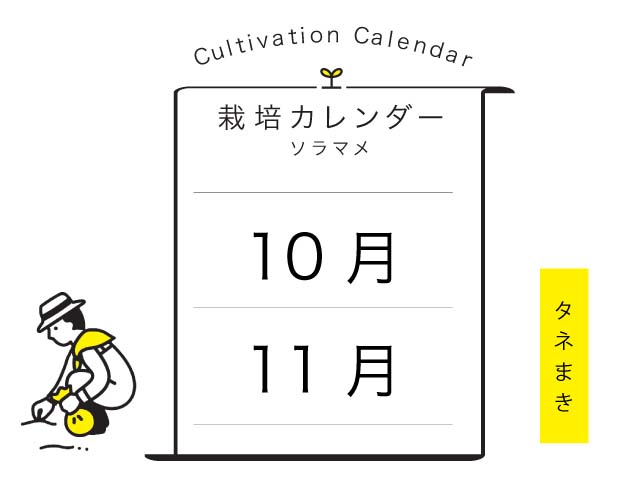 美しい花の画像 エレガント花 種まき カレンダー