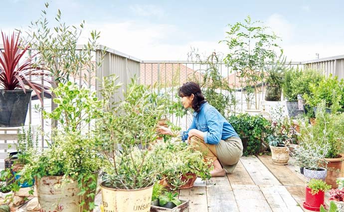 自宅屋上がキャンプ場や映画館に ウッドデッキだけじゃない 屋上の利用例 Pacoma パコマ 暮らしの冒険webマガジン