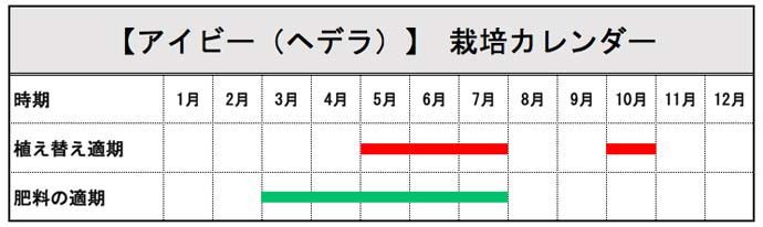 アイビー ヘデラ の育て方 観葉植物 図鑑 プロ監修 Pacoma パコマ 暮らしの冒険webマガジン