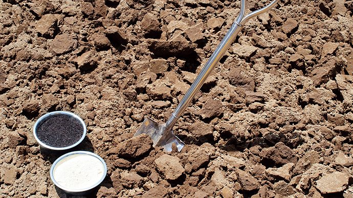 「寒起こし」で土壌消毒！効果と正しい方法を詳しく解説