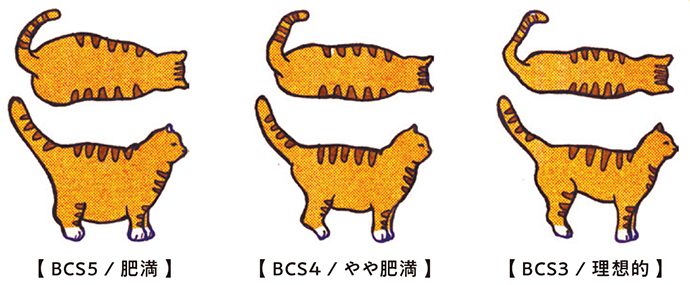 犬猫の飼い主は必読 ペットの上手なダイエット法 Pacoma パコマ 暮らしの冒険webマガジン