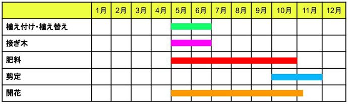 ハイビスカスの育て方 栽培のコツ 園芸のプロ解説 Pacoma パコマ 暮らしの冒険webマガジン