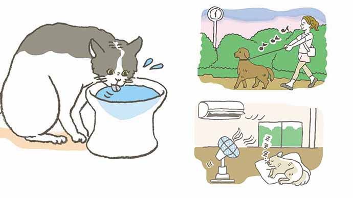 気をつけたい ペットの夏バテ 熱中症対策 Pacoma パコマ 暮らしの冒険webマガジン