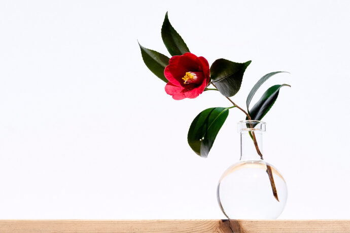 可憐な一輪挿しにピッタリな花瓶や花の正しい選び方 Pacoma パコマ 暮らしの冒険webマガジン