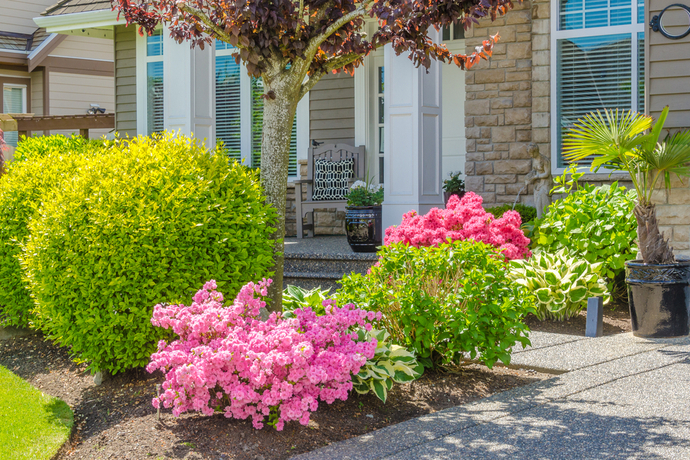 玄関前の花壇をおしゃれに 初心者でもできる庭づくり ガジェット通信 Getnews