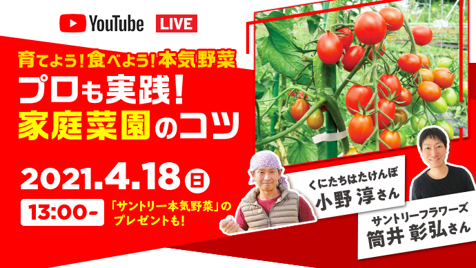 家庭菜園がうまくいくコツが満載 プロによる育て方教室をライブ配信 Pacoma パコマ 暮らしの冒険webマガジン