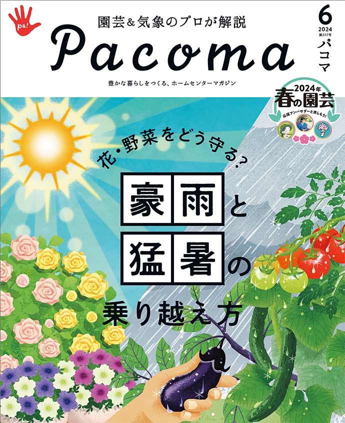 【Pacoma6月号】花・野菜をどう守る？豪雨と猛暑の乗り越え方