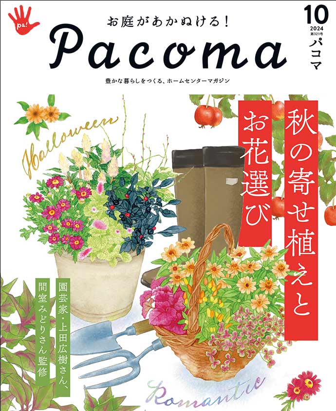 【Pacoma10月号】お世話がラクな今こそ楽しもう　秋の寄せ植えとお花選び